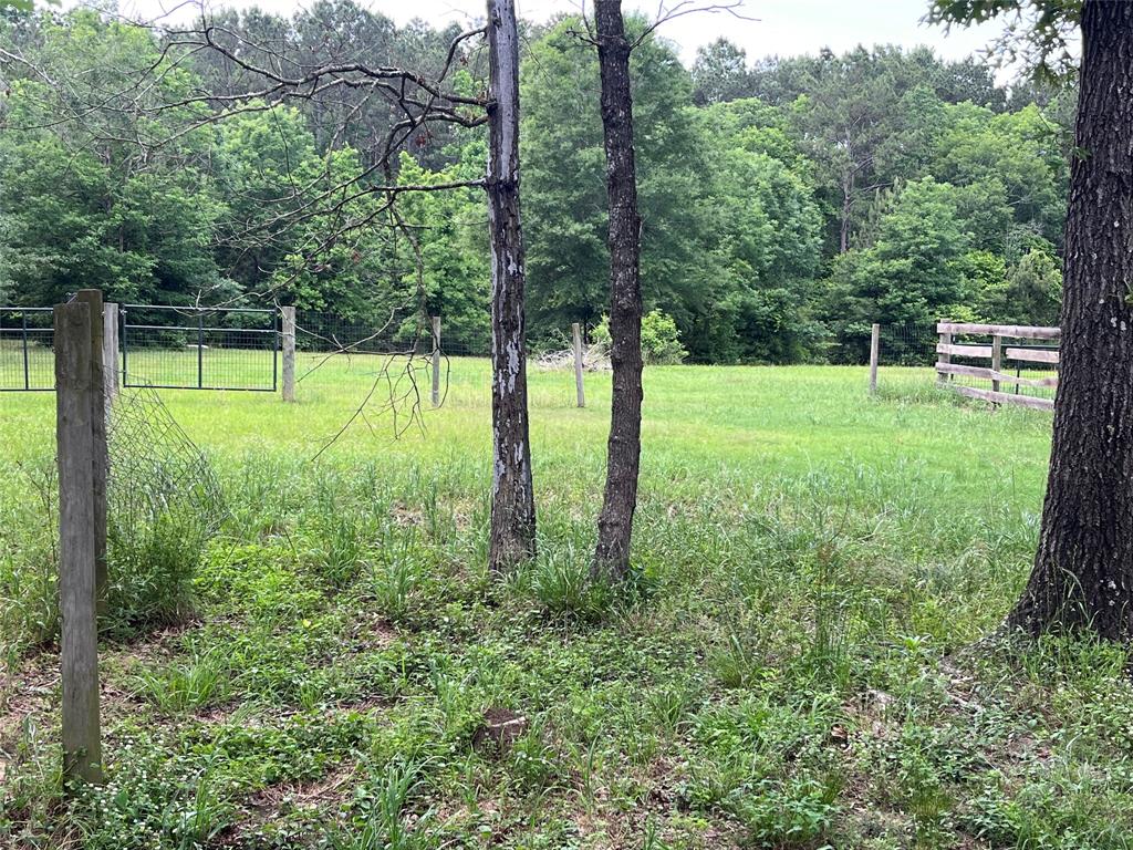 495 Taras Path Path, Livingston, Texas image 7