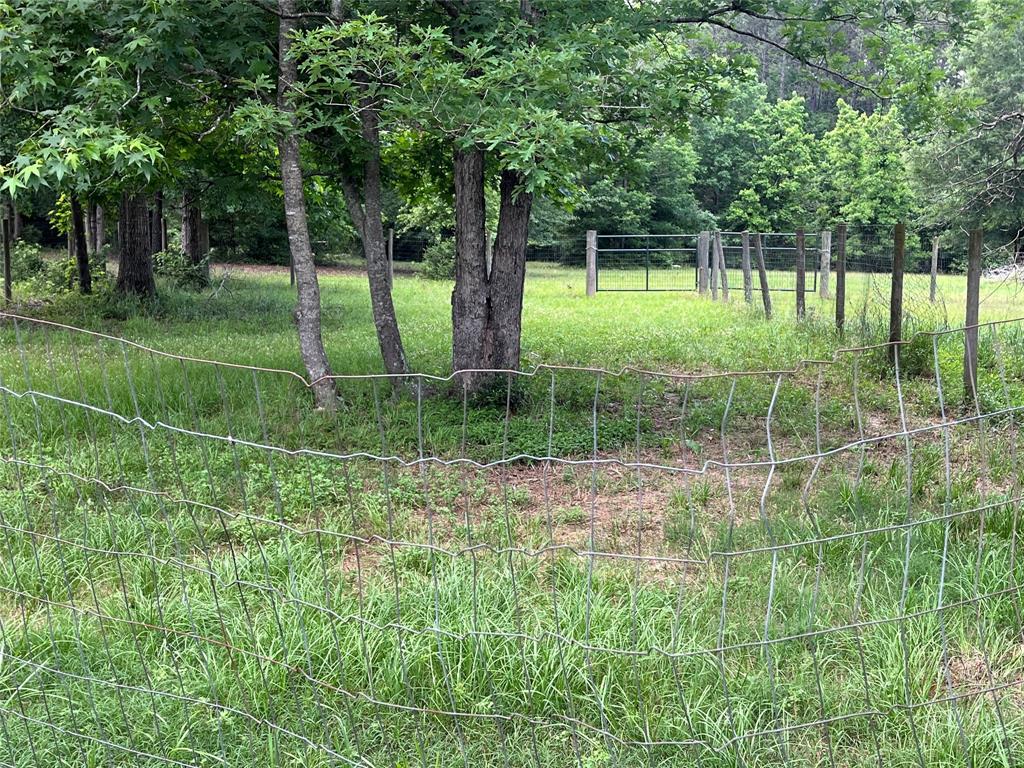 495 Taras Path Path, Livingston, Texas image 8