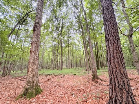 Photo of TBD Hwy 190, Jasper, TX 75951 (MLS # 32533330)