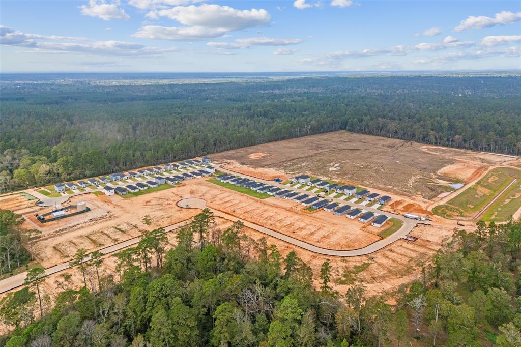 12011 William Trails Circle, Willis, Texas image 21