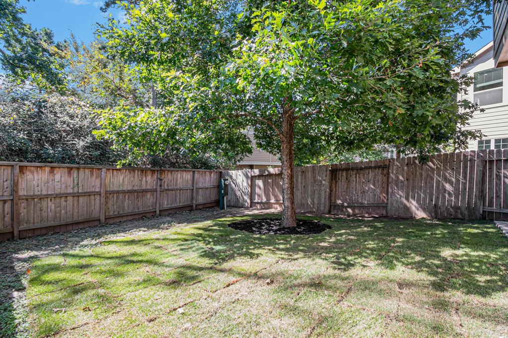 207 Cheswood Forest Place, Montgomery, Texas image 38