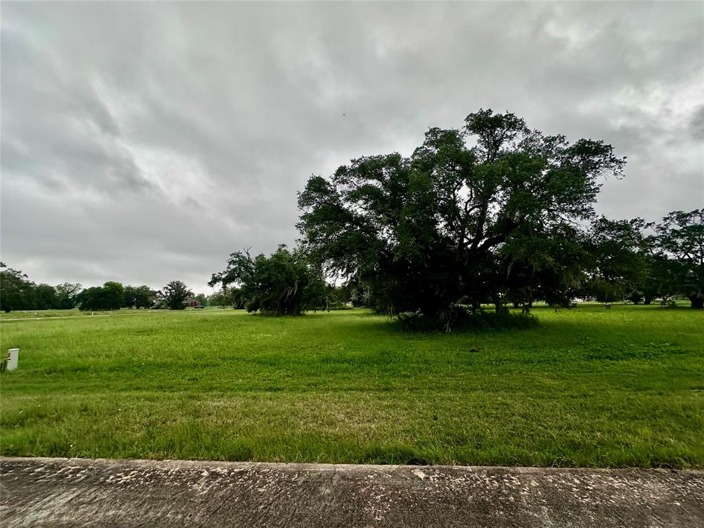 1607 Old Henry Court, Angleton, Texas image 3