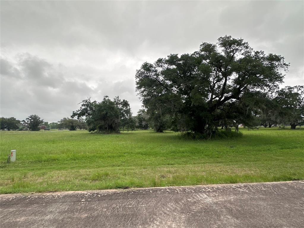 1607 Old Henry Court, Angleton, Texas image 8