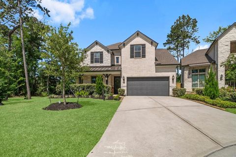 103 Dorado Sky Court Willis TX 77318