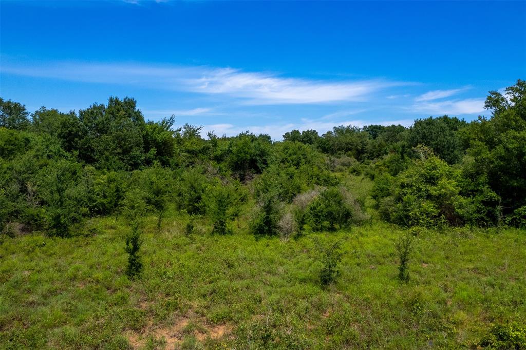 TBD S Hwy 79, Marquez, Texas image 7