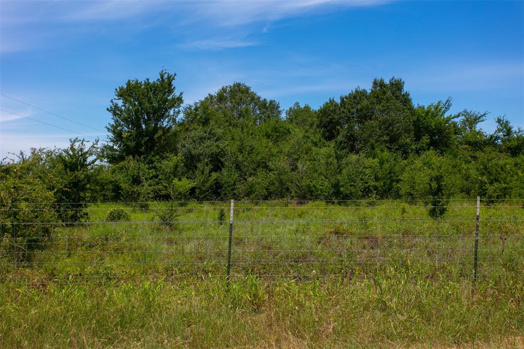 TBD S Hwy 79, Marquez, Texas image 2