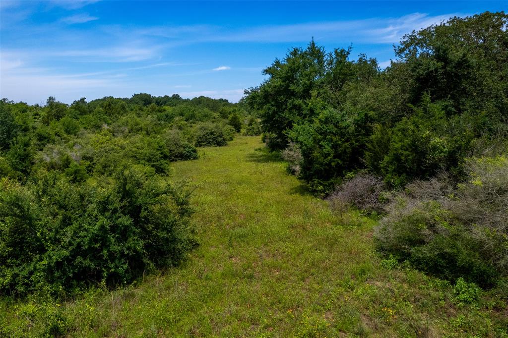 TBD S Hwy 79, Marquez, Texas image 6