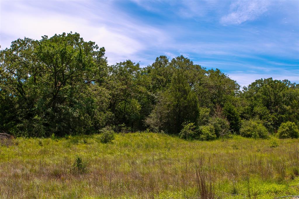 TBD S Hwy 79, Marquez, Texas image 4