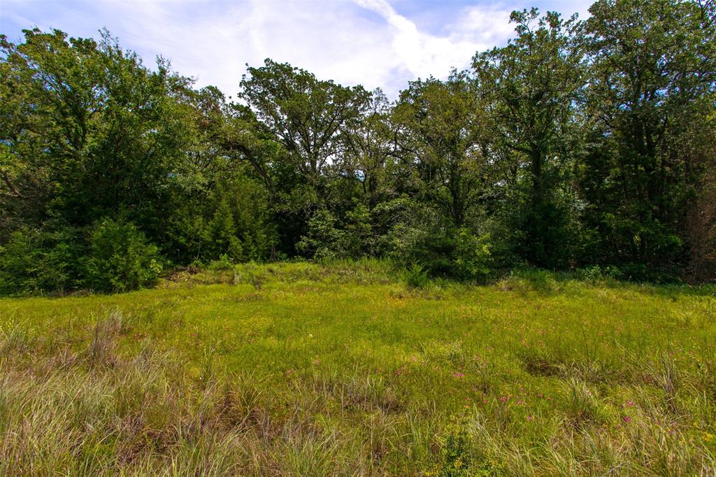 TBD S Hwy 79, Marquez, Texas image 3