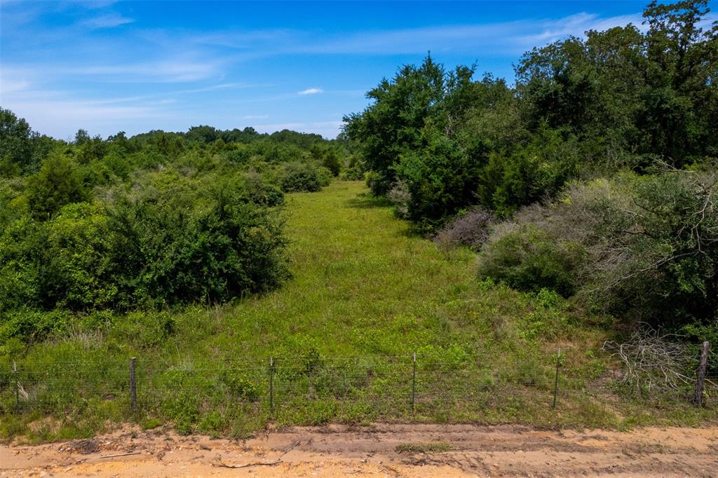 TBD S Hwy 79, Marquez, Texas image 5