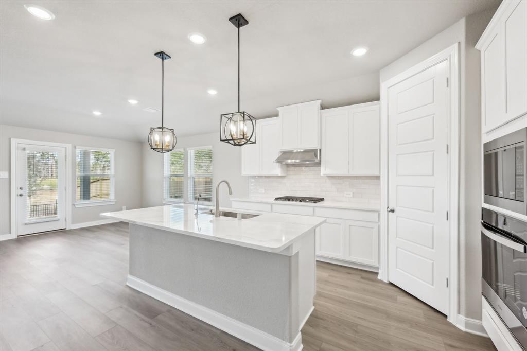 129 Bay Bridge Court, Montgomery, Texas image 2