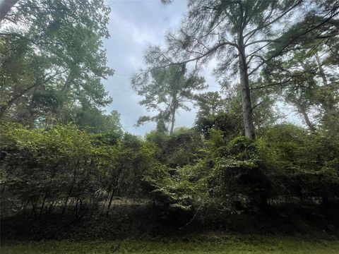 3440 Corolla Road Magnolia TX 77354