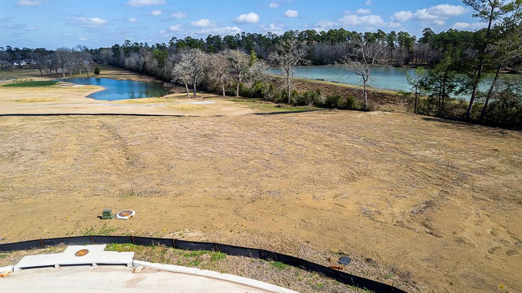 9702 Fairway Hills Pass Pass, Willis, Texas image 4