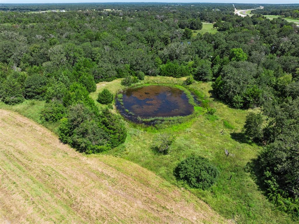 TBD County Road 428, Somerville, Texas image 5