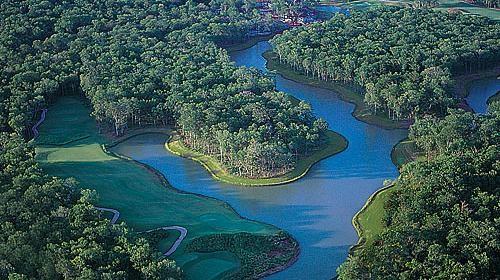 9007 Serenity Forest, Missouri City, Texas image 23