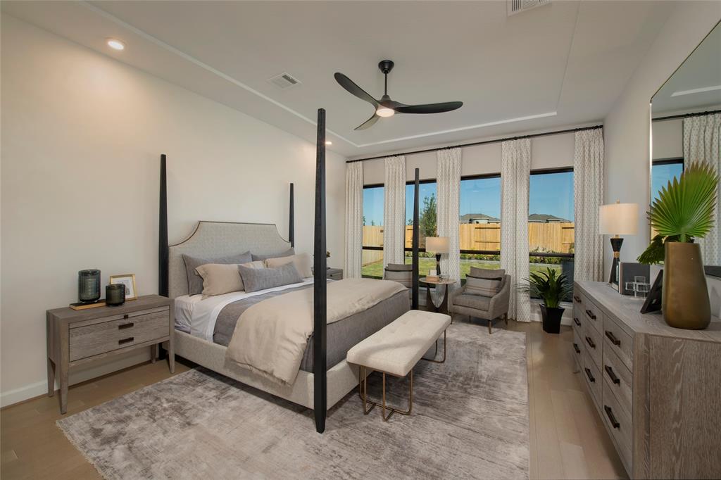 9007 Serenity Forest, Missouri City, Texas image 11