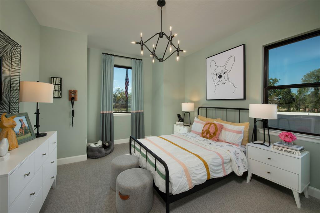 9007 Serenity Forest, Missouri City, Texas image 15