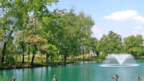 9007 Serenity Forest, Missouri City, Texas image 25