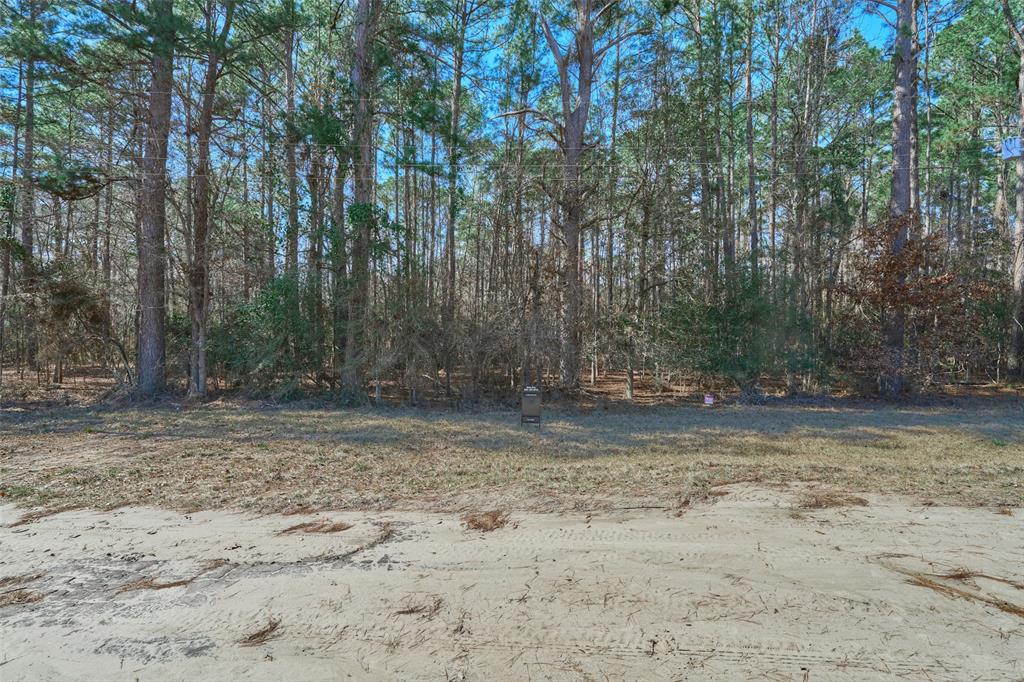 174 E Park Road, Onalaska, Texas image 1