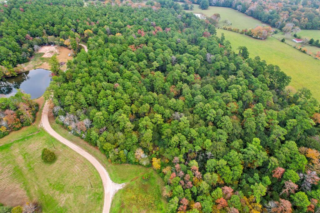 Belinowski Road, New Waverly, Texas image 4
