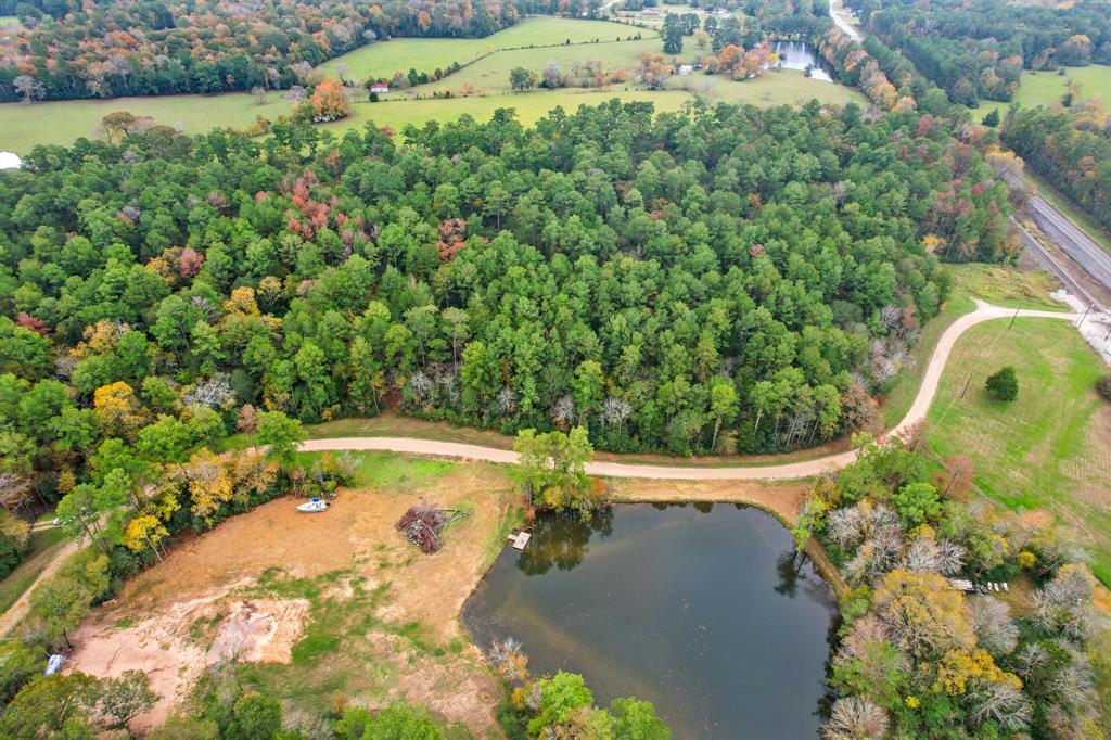 Belinowski Road, New Waverly, Texas image 1