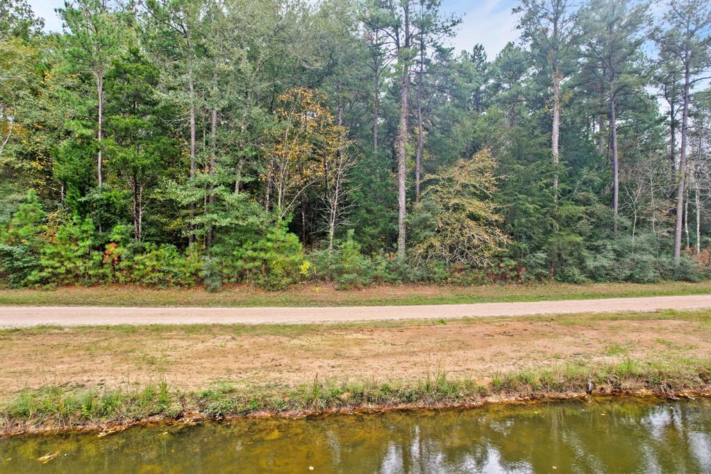 Belinowski Road, New Waverly, Texas image 9