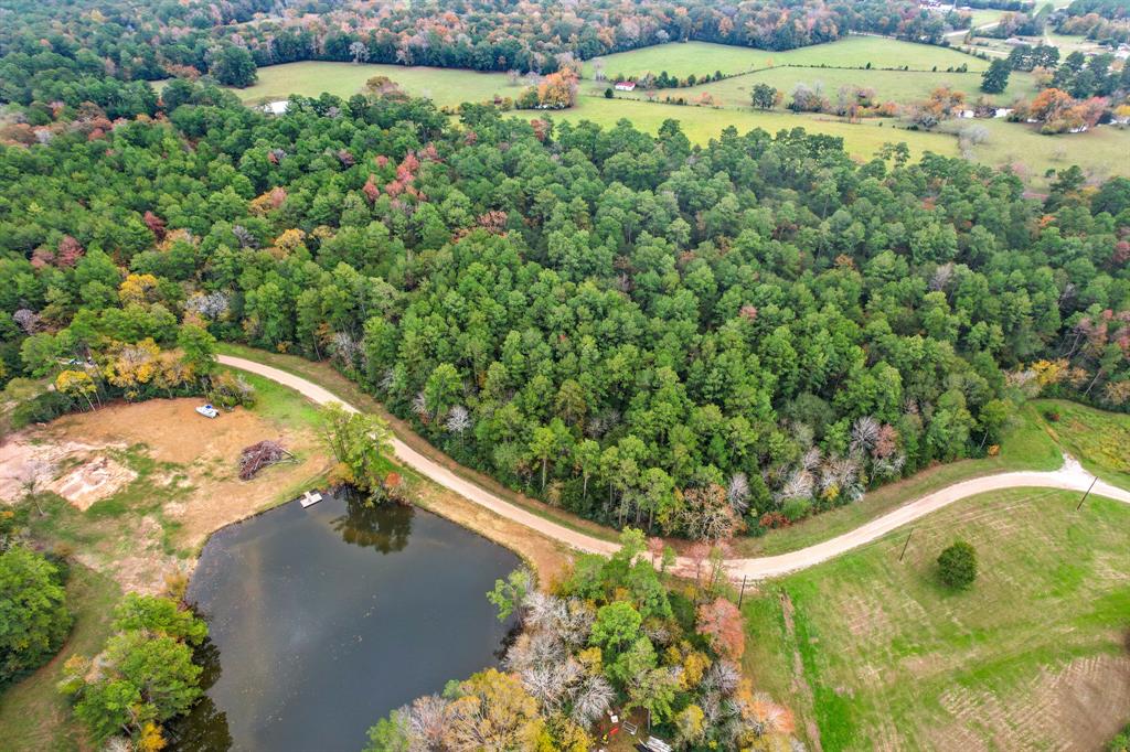Belinowski Road, New Waverly, Texas image 2