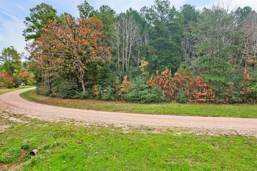 Belinowski Road, New Waverly, Texas image 7