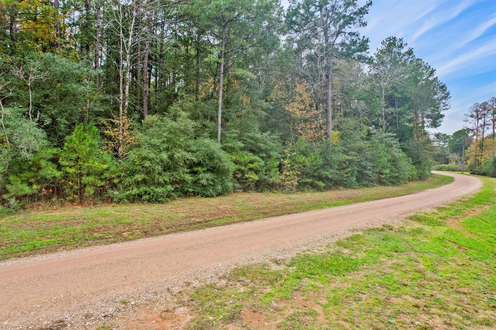 Belinowski Road, New Waverly, Texas image 6