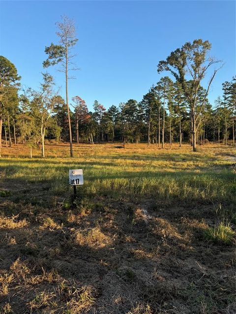 Photo of 17 County Road 147, Centerville, TX 75833 (MLS # 63591045) Photo of 17 County Road 147, Centerville, TX 75833 (MLS # 63591045)