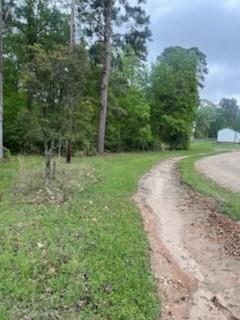 Lot 51 & 52 Sabine Drive, Trinity, Texas image 1