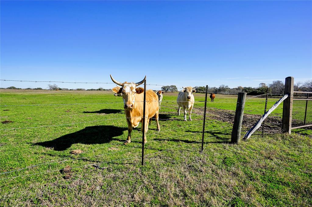 5135 W Us Highway 90, Schulenburg, Texas image 49