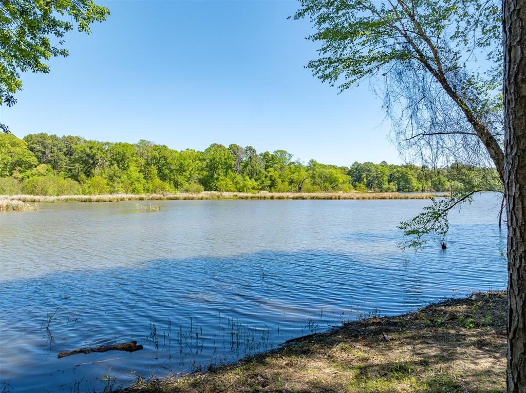 TBD Fm-3506, Frankston, Texas image 6