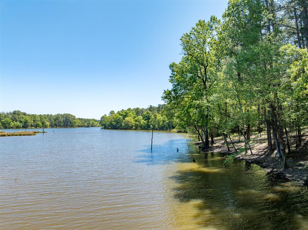 TBD Fm-3506, Frankston, Texas image 15