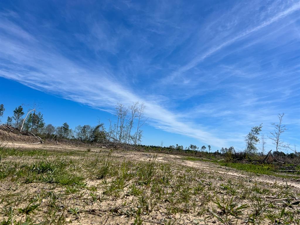 1 County Road 443, Kirbyville, Texas image 8