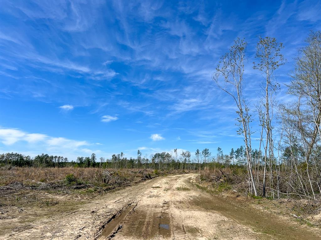 1 County Road 443, Kirbyville, Texas image 9