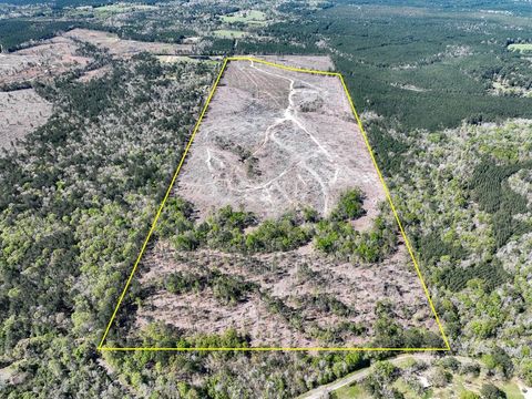 Photo of 1 County Road 443, Kirbyville, TX 75956 (MLS # 18713978)