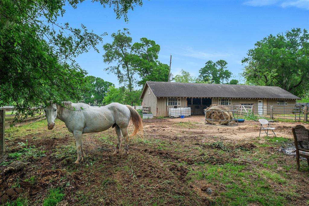 36602 Hondo Road, Simonton, Texas image 33