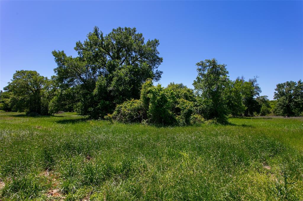 Lot 2B Brazos Court, Caldwell, Texas image 4