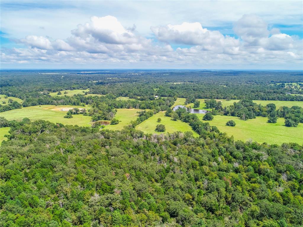 0000 Tbd County, Oakwood, Texas image 19