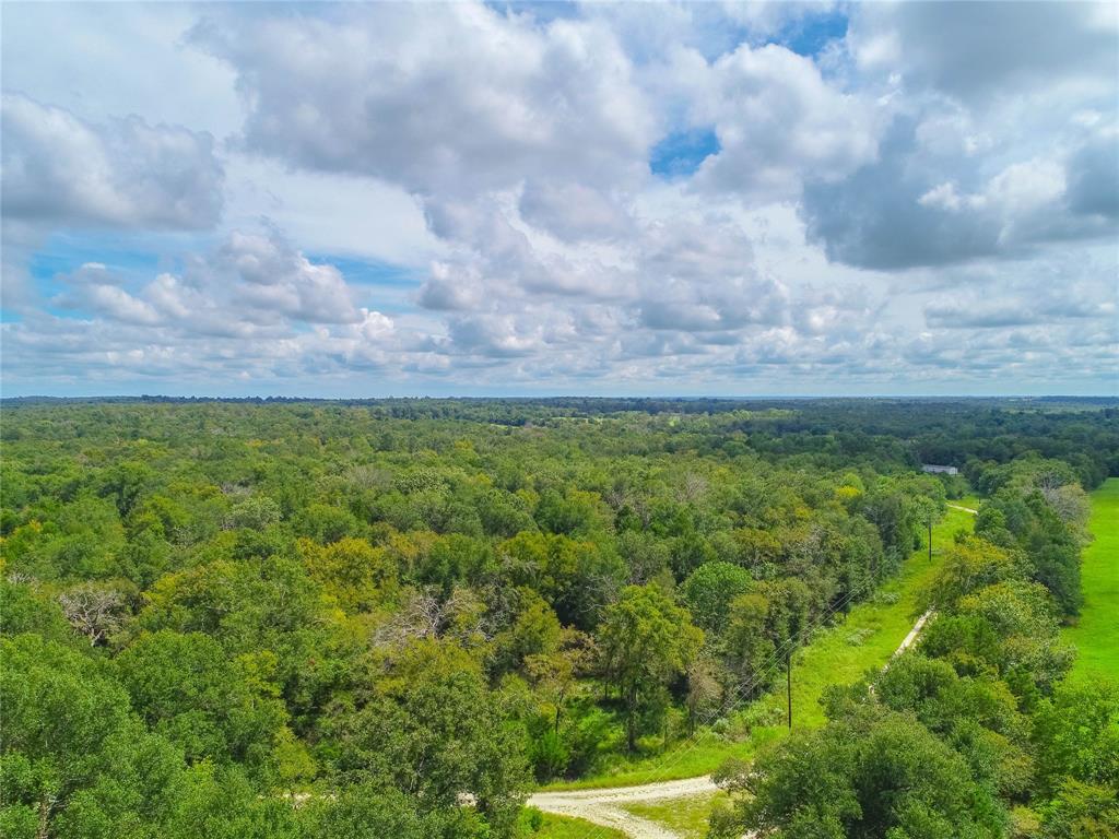 0000 Tbd County, Oakwood, Texas image 14