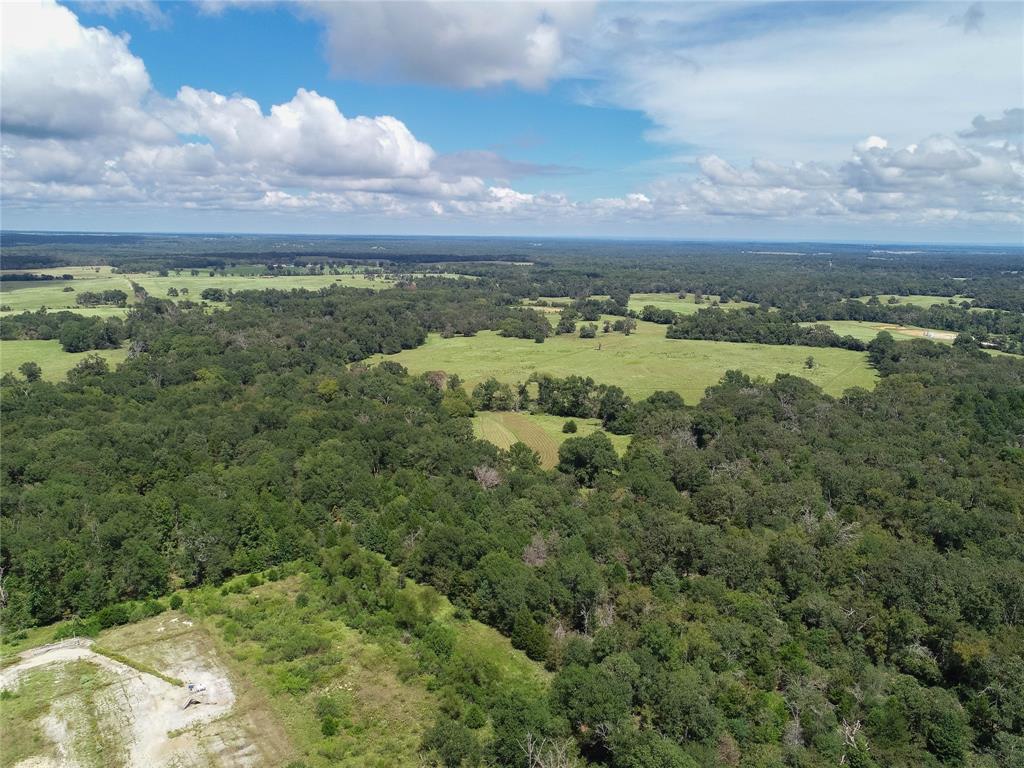 0000 Tbd County, Oakwood, Texas image 9