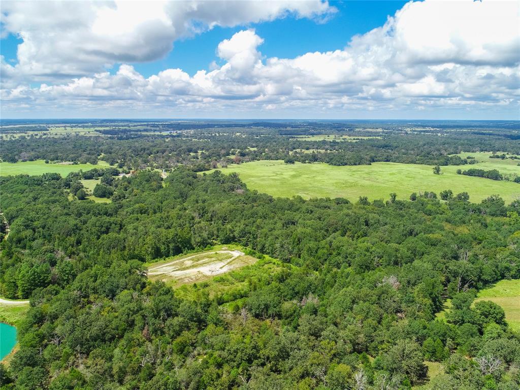 0000 Tbd County, Oakwood, Texas image 6