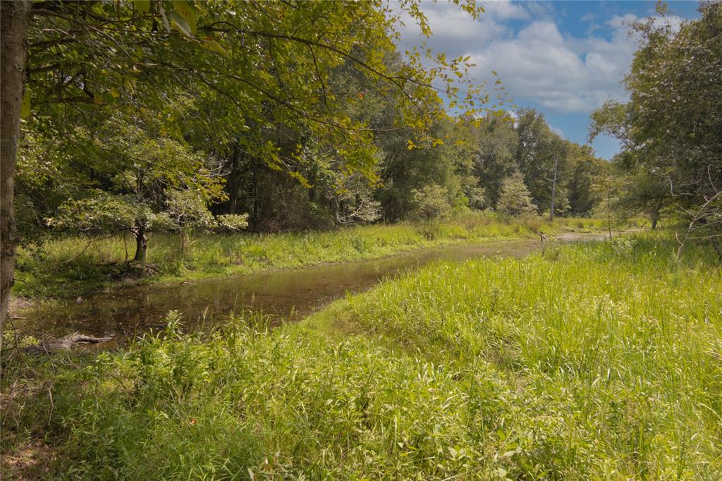 0000 Tbd County, Oakwood, Texas image 24