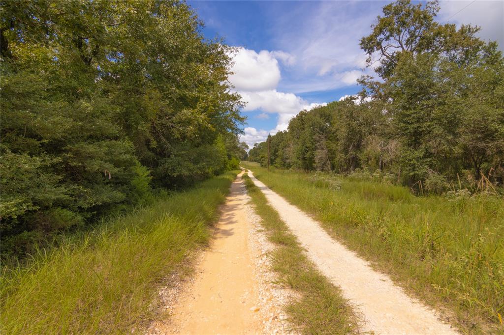 0000 Tbd County, Oakwood, Texas image 34