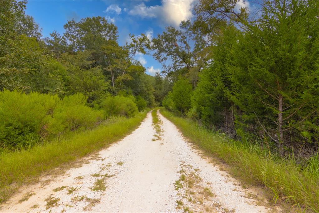 0000 Tbd County, Oakwood, Texas image 36