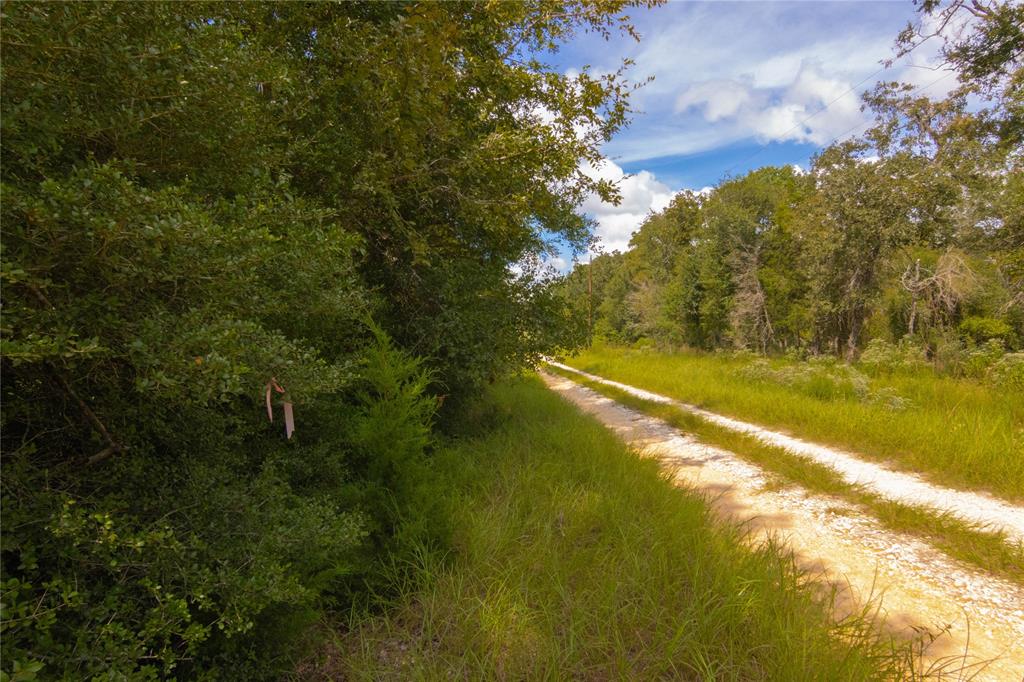 0000 Tbd County, Oakwood, Texas image 33