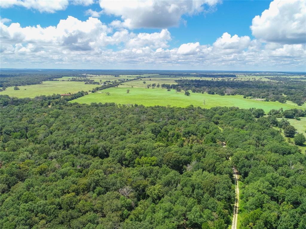 0000 Tbd County, Oakwood, Texas image 11