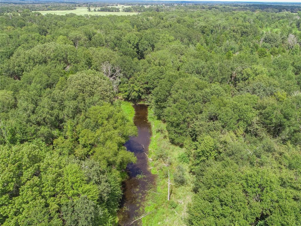 0000 Tbd County, Oakwood, Texas image 21