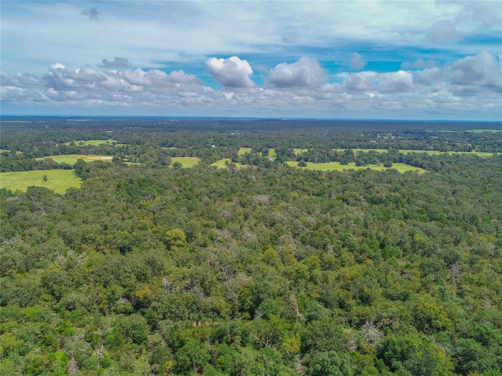 0000 Tbd County, Oakwood, Texas image 8